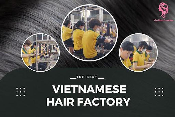 Vin Hair Factory - The best Vietnamese hair factory