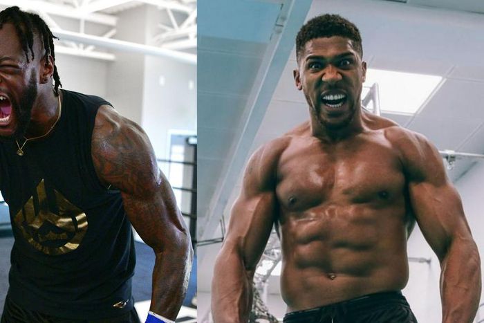 Anthony Joshua has been warned that Deontay Wilder can end his career if they fight.