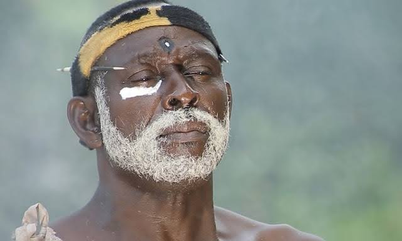 Police arrest native doctor, one other for alleged kidnapping
