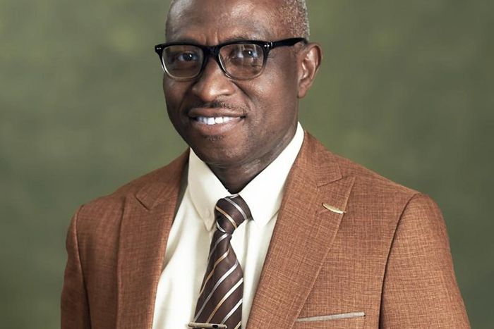 Prof Simeon Bamire, the VC of Obafemi Awolowo University, Ile-Ife [LinkedIn]