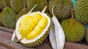 Durians are the world's worst fruits [Culturetrip]