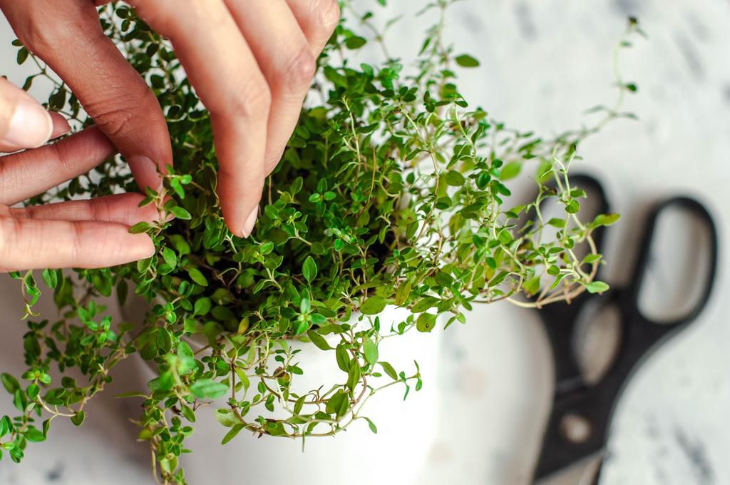 Use a combination of fresh and dry herbs.