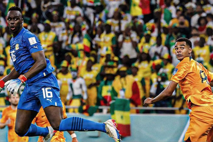 Edouard Mendy's looks on at his first gift to Holland.