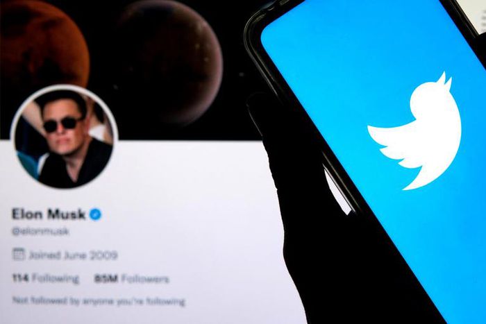 The Twitter logo seen displayed on a smartphone with Elon Musk's account in the background.