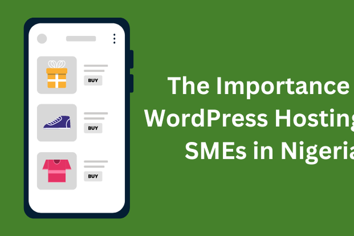 The Importance of WordPress Hosting for SMEs in Nigeria