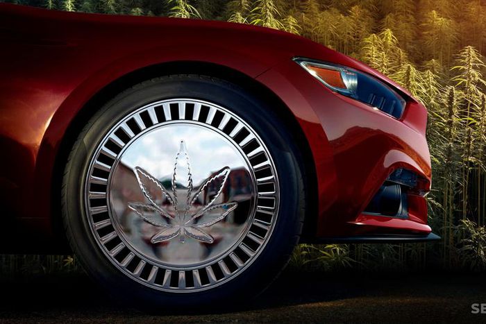 Hemp-used-in-cars-scaled