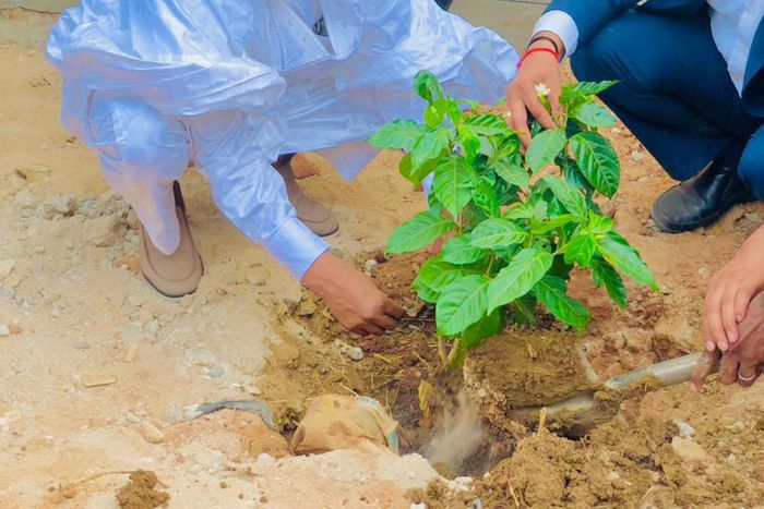 Kebbi govt allocates land for WACOT Rice Academy project. [NAN]
