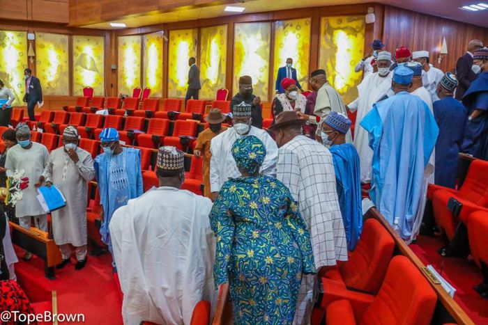 Nigerian senators [Tope Brown]