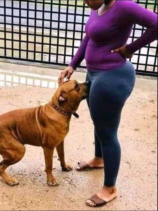 Why do dogs smell women's butt? [Quora]