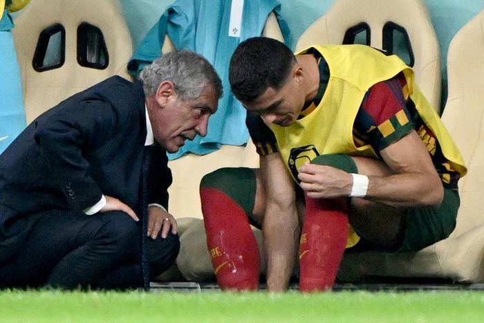 Portugal's Fernando Santos is set to leave the national team immediately (Matthias Koch)