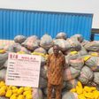 NDLEA intercepts 14.5 tons of Ghanaian loud linked to wanted Mushin drug baron [Facebook:NDLEA]