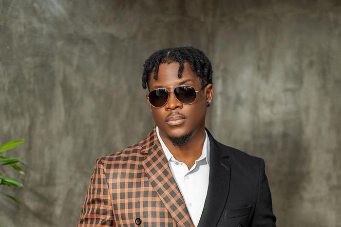 Seyi Awolowo says that he deeply regrets his words [Instagram/officialseyiawo]