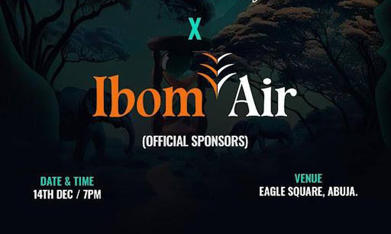 Davido’s Timeless Concert Abuja, announces partnership with Ibom Air
