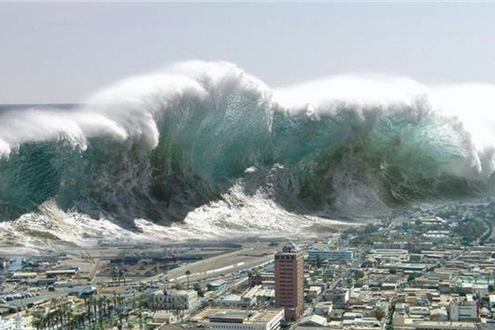 Indian Tsunami and earthquake [animalialife]