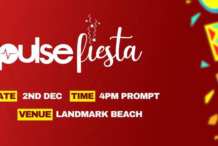 Pulse Nigeria Presents Pulse Fiesta 3.0 — The Ultimate Detty December Experience!