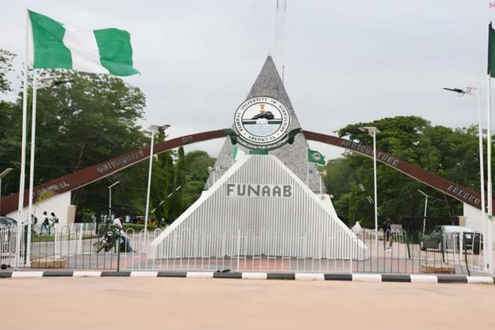 The victims lost consciousness immediately after eating the cake [Insight Radio]