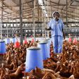 Poultry farm