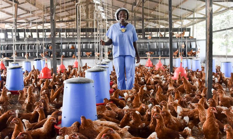 Poultry farm