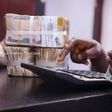 No plans to convert $30bn domiciliary deposits to naira - CBN calms Nigerians  [The Cable]