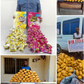 NDLEA arrests Brazil returnee with 105 parcels of cocaine in candies. [NDLEA]