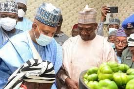 Governors who dumped their deputies for second term