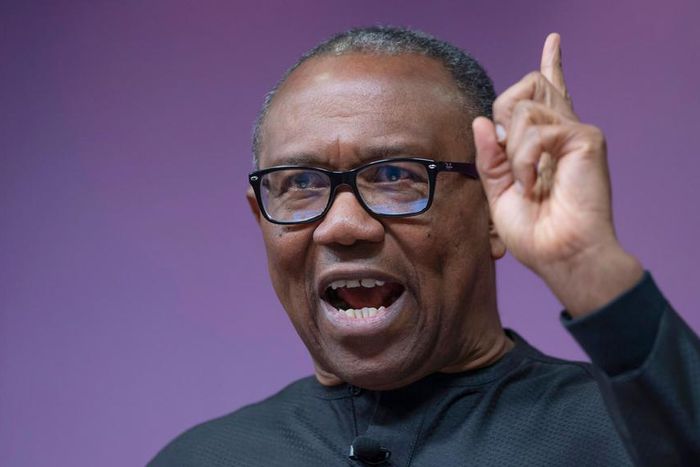 Peter Obi insists the won the 2023 presidential election. (Daily post)