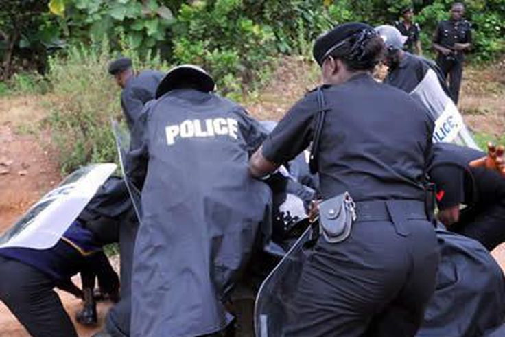 Illustrative Photo of a group of Nigerian Police officers (Bukchris)