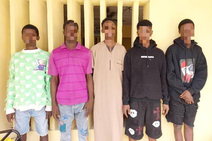 Five men arrested during a suspected cult initiation in Lagos State [LSPC]