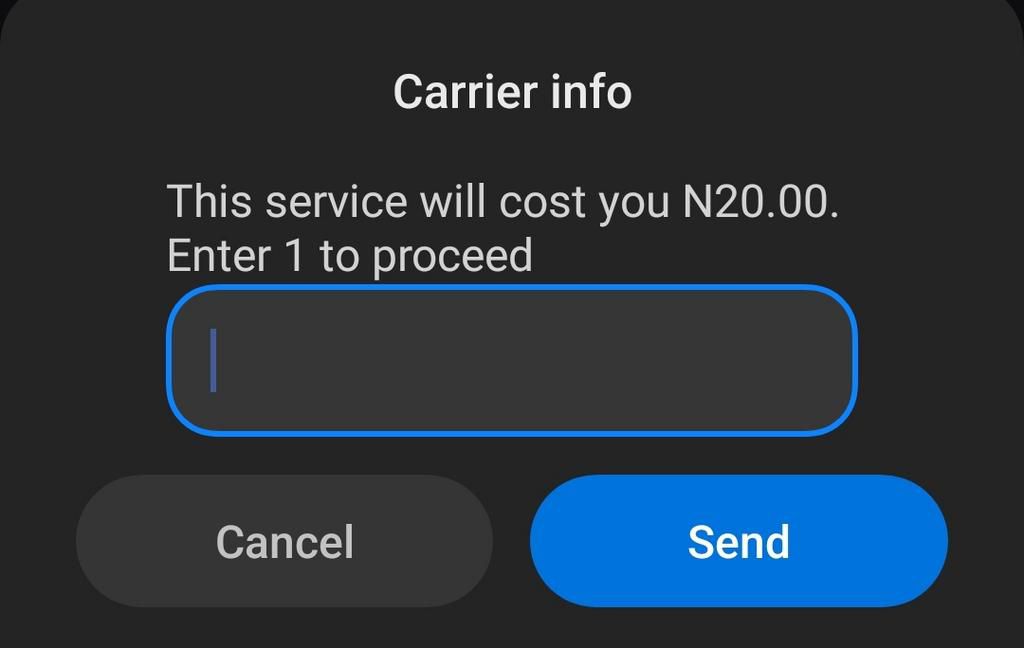 Your NIN should appear after the fee has been successfully deducted [Pulse Nigeria]