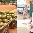 Video of visually impaired coconut seller serving customers warm hearts
