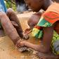 Health Ministry says 122m Nigerians at risk of contracting Neglected Tropical Diseases. [sabin]