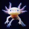The Axolotl [Pinterest]