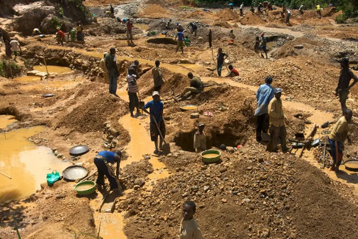 Illegal miners (Credit: Vanguard News)