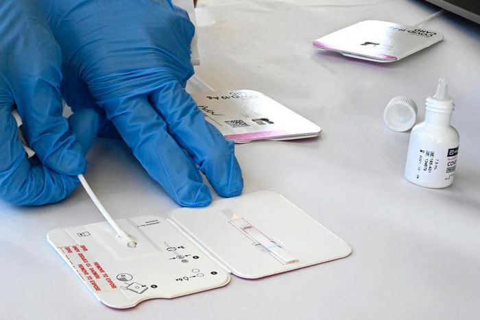 A rapid COVID-19 test swab being processed.Brittany Murray/MediaNews Group/Long Beach Press-Telegram via Getty Images