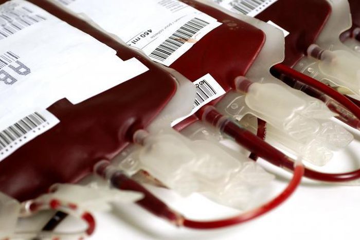 bags of blood - (Credit: shutterstock)