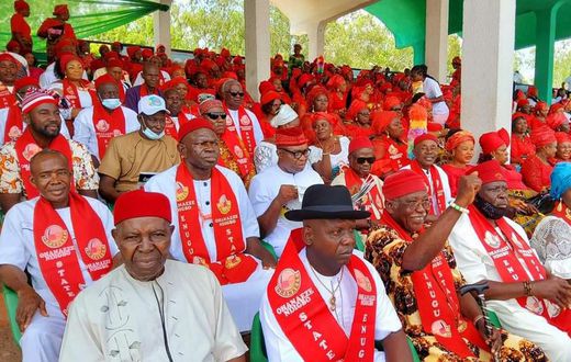 Ohanaeze Ndigbo General Assembly Worldwide. (Guardian)