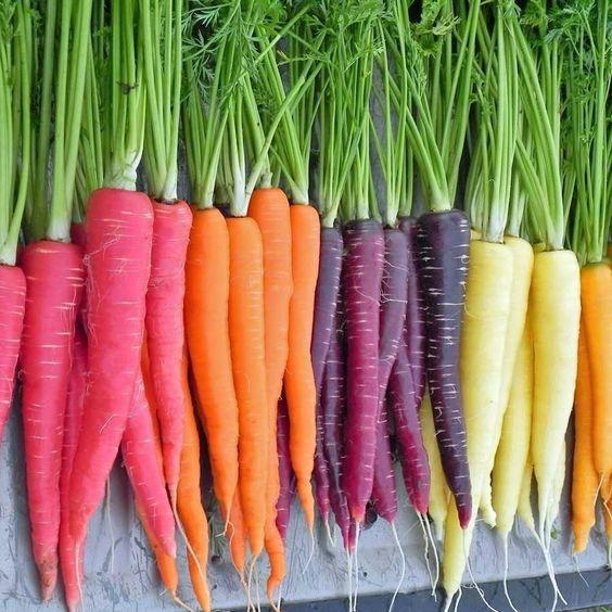 Carrots come in different colours [Pinterest]