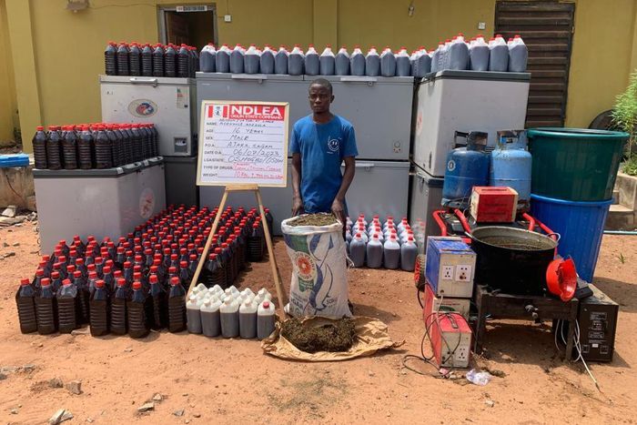 NDLEA seizes 4,560kg skunk in 3 states, busts skucchies factory in Ogun. [Facebook:NDLEA]