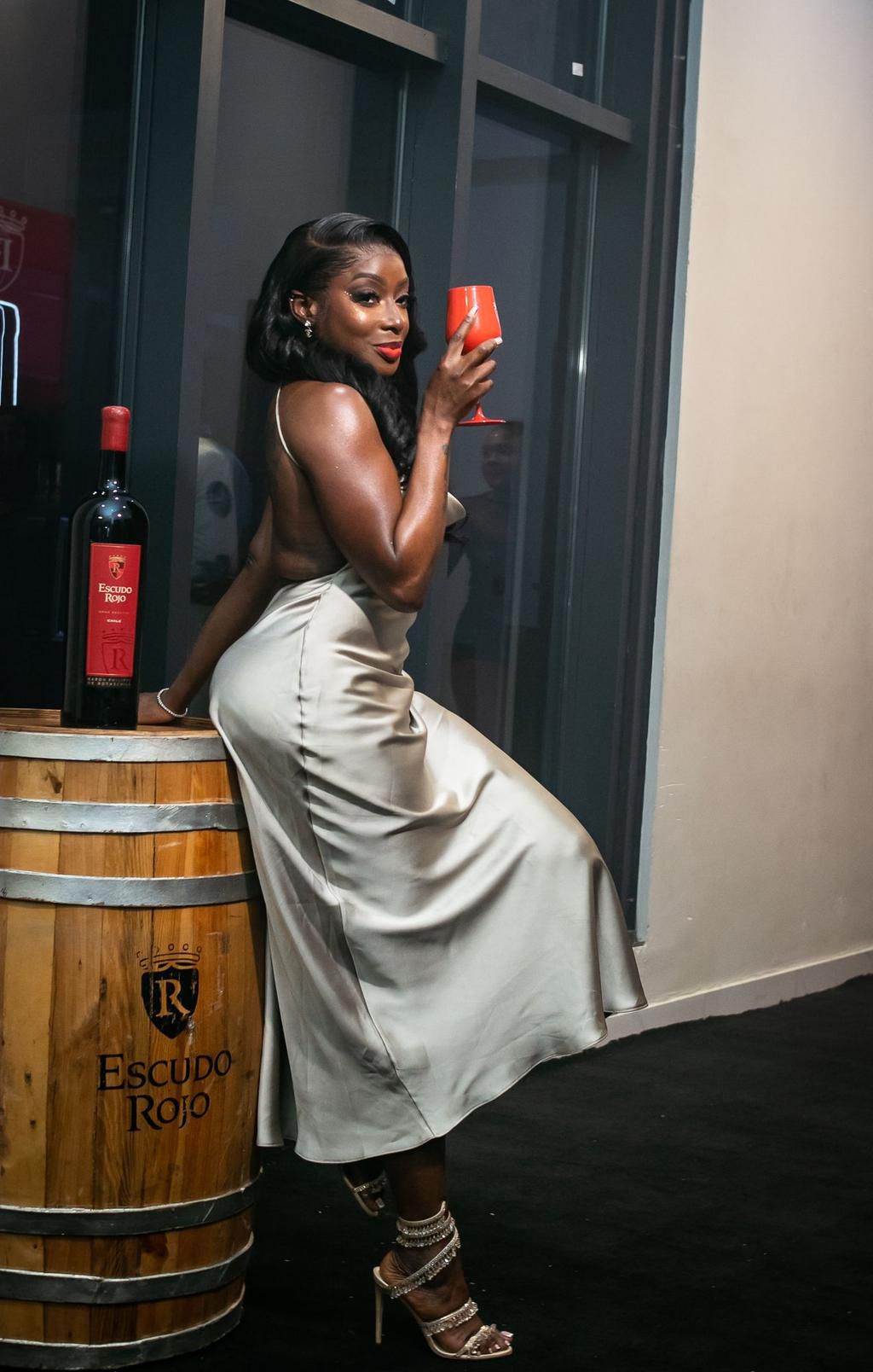 Escudo Rojo introduces Luminoso Wine in spectacular launch event