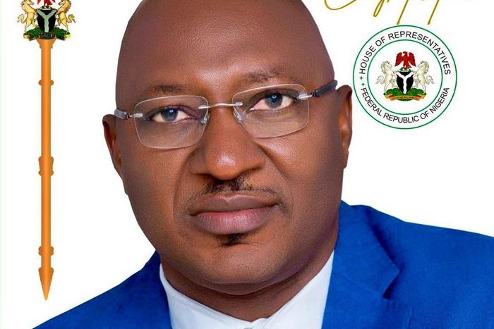 Professor Sunday Nnamchi