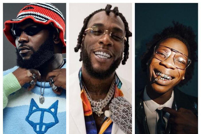 Burna Boy hosts ODUMODUBLVCK, Seyi Vibez at his private beach party