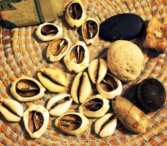 Cowries were used as divination