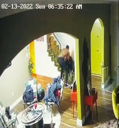 Another image Palmer had submitted to the court [Page six]