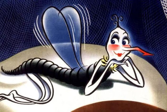 A day in the life of a female mosquito [latestly]