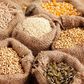 AFEX predicts higher prices for maize, paddy rice, others.