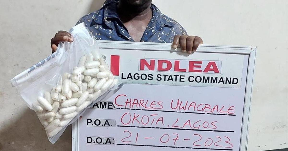 NDLEA arrests drug lord with 93 cocaine wraps in Lagos | Pulse Nigeria