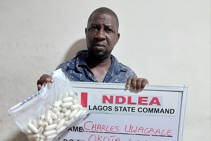 Drug Lord intercepted with 93 wraps of cocaine. [NDLEA]