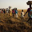 South Sudanese citizens migrating