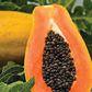 Papaya seeds carry nutrients [Tehelka]