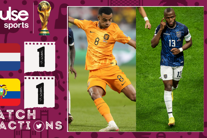 Reactions to Gakpo as Netherlands draws 1-1 with Ecuador